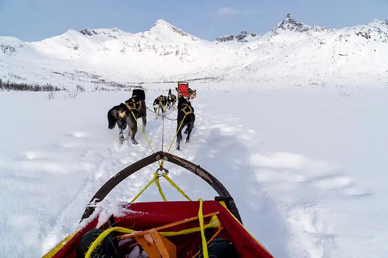 Que faire à Tromsø Norvège Que faire à Tromsø Norvège