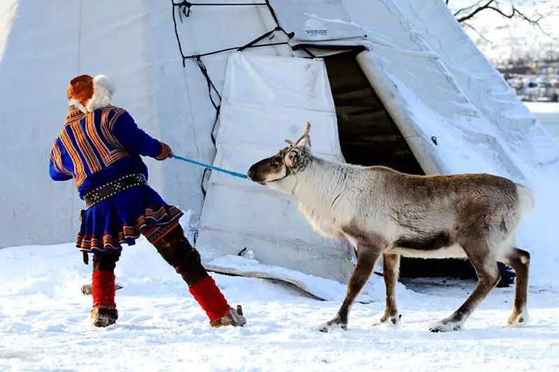 que voir à Tromsø Tromsø incontournables